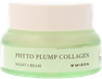 MIZON Phyto Plump Collagen dienas sejas krēms, 50 ml thumbnail 1