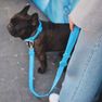 DASHI Colorflex Blue L pavada, 1 gab. thumbnail 2