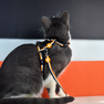 DASHI Stripes3 Orange&Black pavada, 1 gab. thumbnail 2