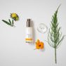 DR.HAUSCHKA Balancing Day losjons, 50 ml thumbnail 2