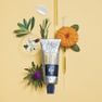 PHYTO Nourishment 7 ikoninis plaukų kremas, 50 ml thumbnail 4