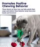 PETSTAGES Dental Cherries, Sarkana rotaļlieta, 1 gab. thumbnail 4
