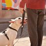 DASHI Colorflex Black L pavada, 1 gab. thumbnail 2