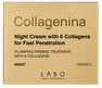 COLLAGENINA With 6 Collagens, Grade 2, Night sejas krēms, 50 ml thumbnail 2