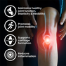 VPLAB Glucosamine & Chondroitin & MSM tabletes, 90 gab. thumbnail 4