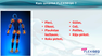 FLEXISEQ  For Joint Wear & Tear ziede, 50 g thumbnail 3