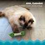 CATSTAGES Fresh Breath Mint Stick Zaļa rotaļlieta, 1 gab. thumbnail 4