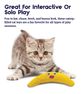 PETSTAGES Boomerang Buddy, Dzeltena rotaļlieta, 1 gab. thumbnail 2