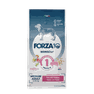 FORZA10 Monodiet Medium Adult Ar Cūku Un Kartupeļiem, Suņiem sausā barība, 12 kg thumbnail 1