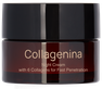 COLLAGENINA With 6 Collagens, Grade 2, Night sejas krēms, 50 ml thumbnail 1