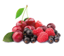 ALPENBAUER BIO Waldbeere konfektes, 90 g thumbnail 2