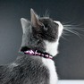 DASHI Stripes3 Purple&Black Kaķim kakla siksna, 1 gab. thumbnail 4