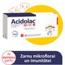ACIDOLAC Junior ar zemeņu garšu košļājamās tabletes, 20 gab. thumbnail 1
